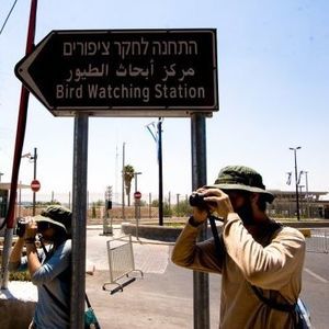 Meet your Posher, Michele